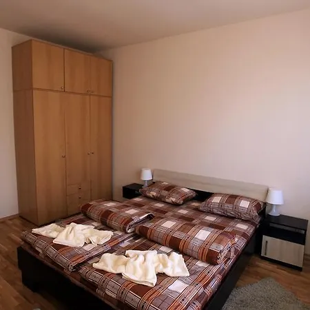 Apartment Downtown Ivaylo *